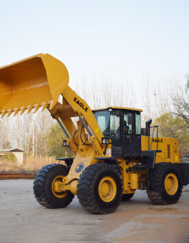 printed tshirt white color