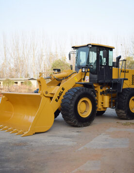 printed tshirt white color