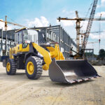 printed tshirt grey color