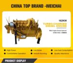 printed tshirt white color